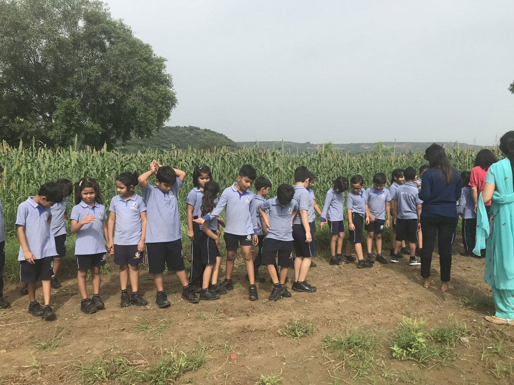 Pathways news