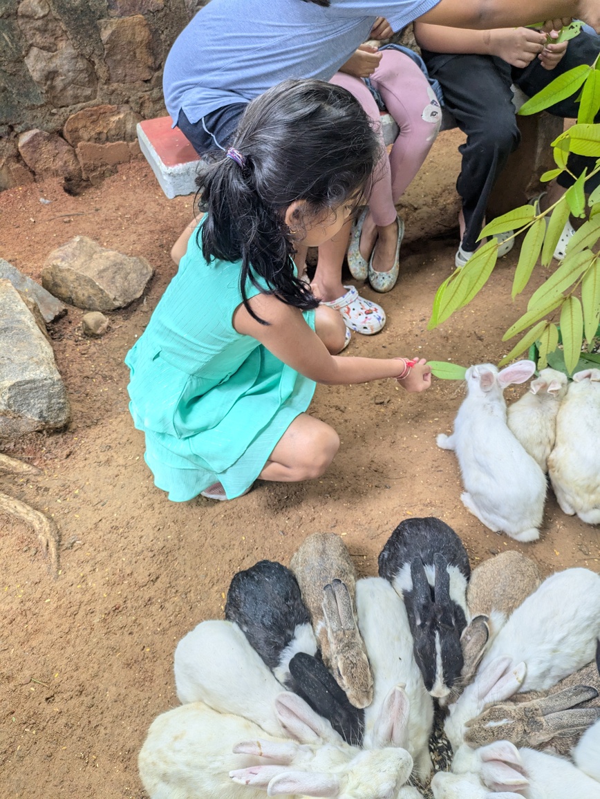 Babies' Day Out!