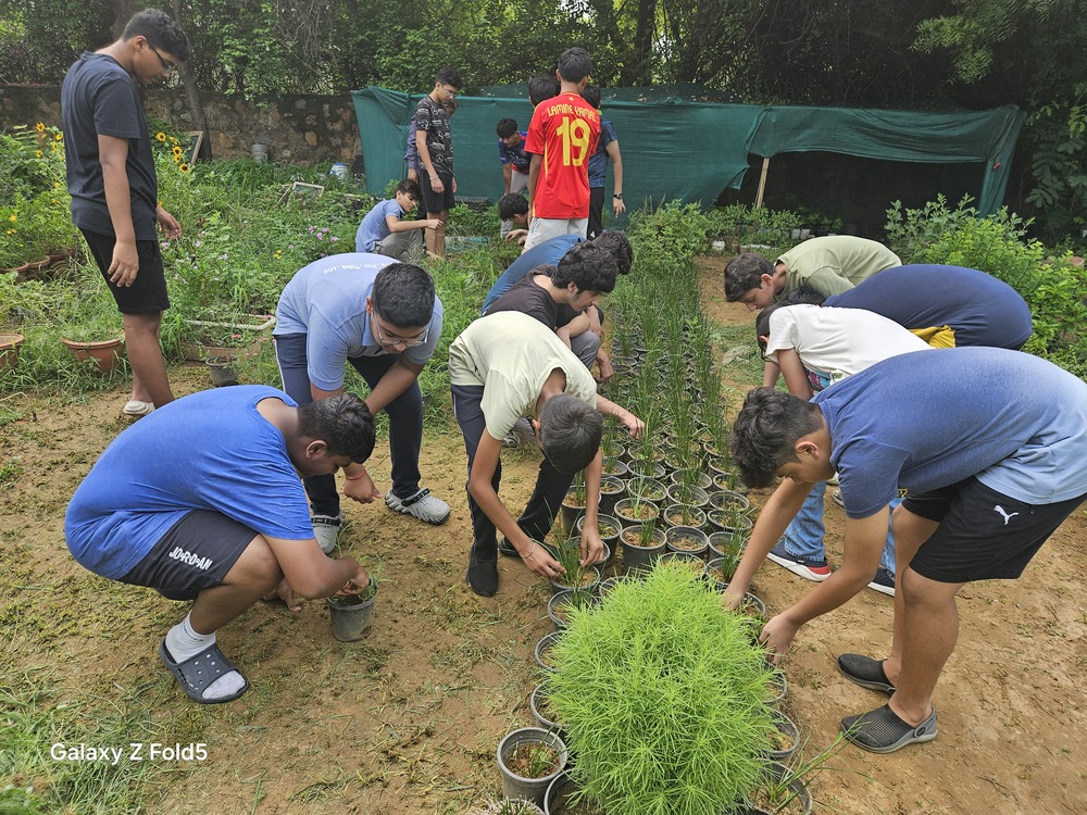 Sapling Planting and Wheat Plucking