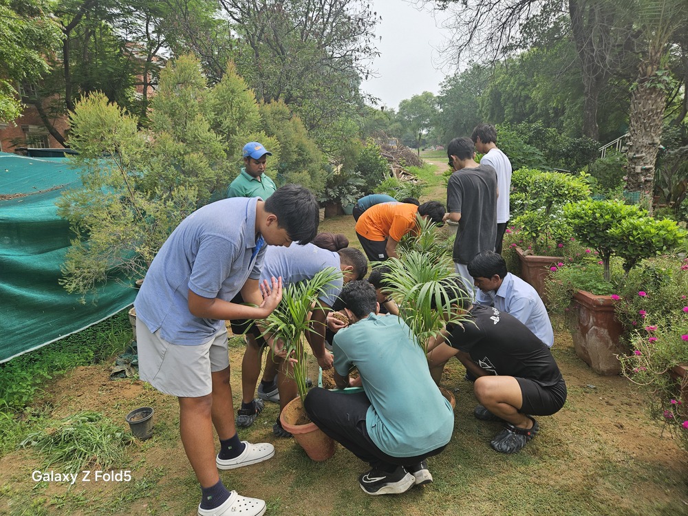 Sapling Planting and Wheat Plucking