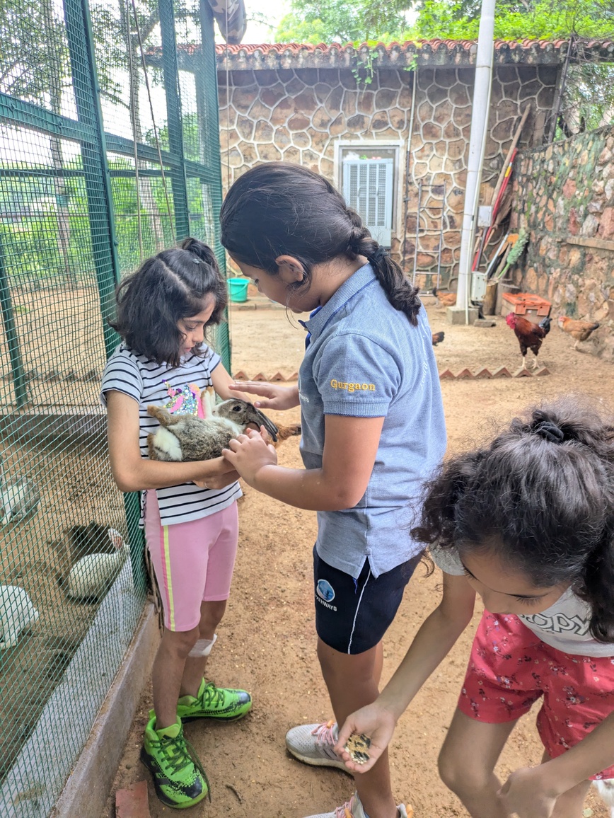 Babies' Day Out!