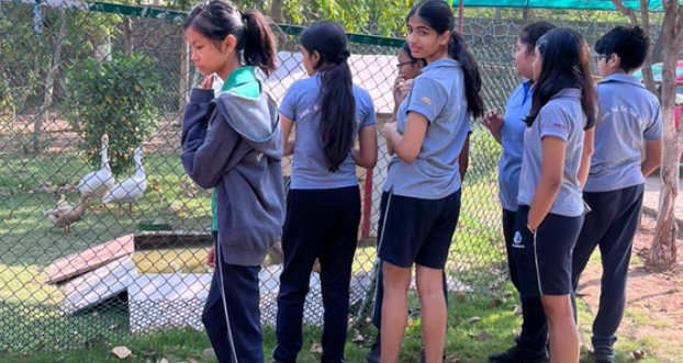 Pathways news
