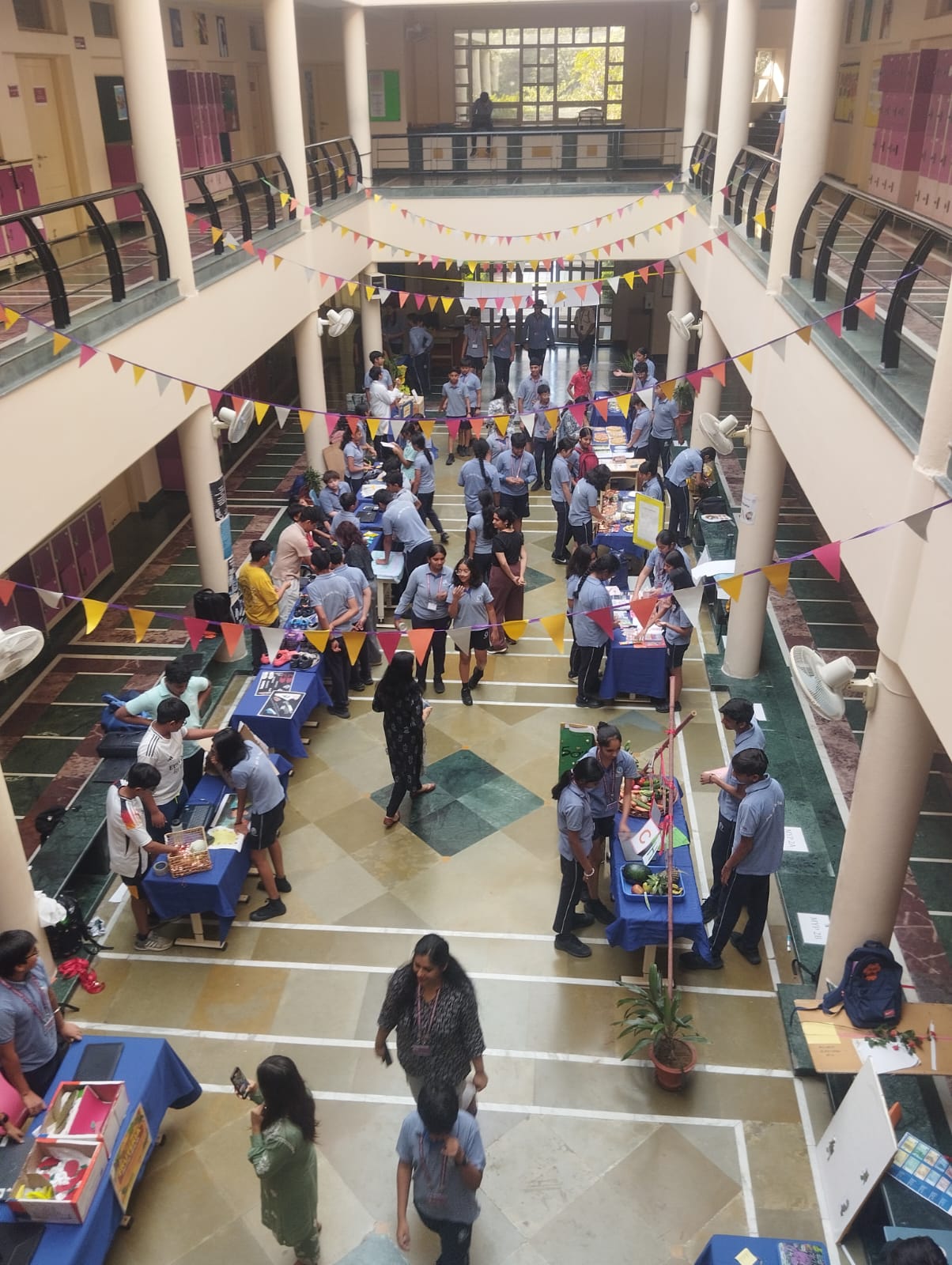 THE SOUK: A Vibrant Showcase of Language and Culture