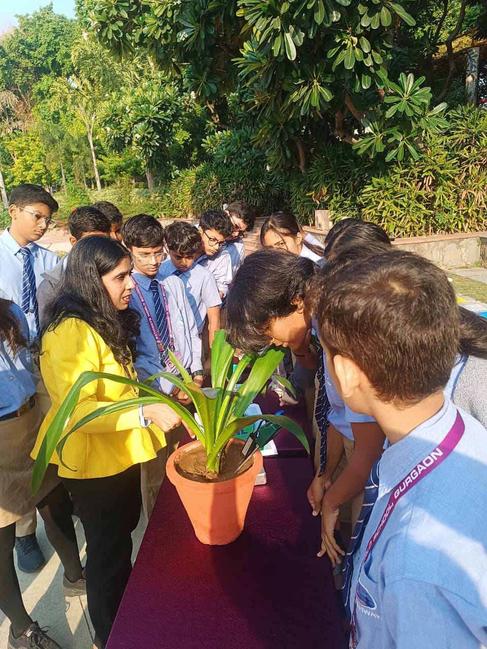 Pathways news