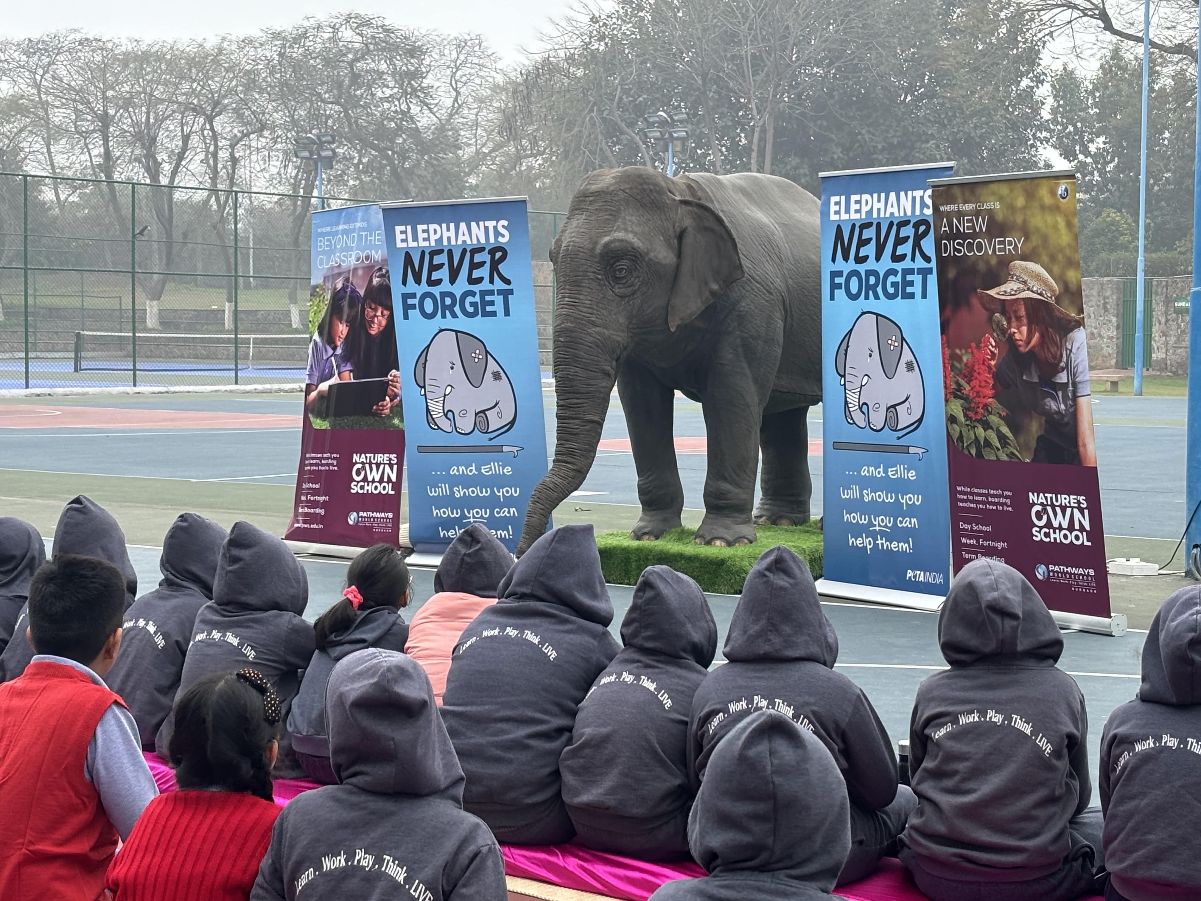 Pathways news