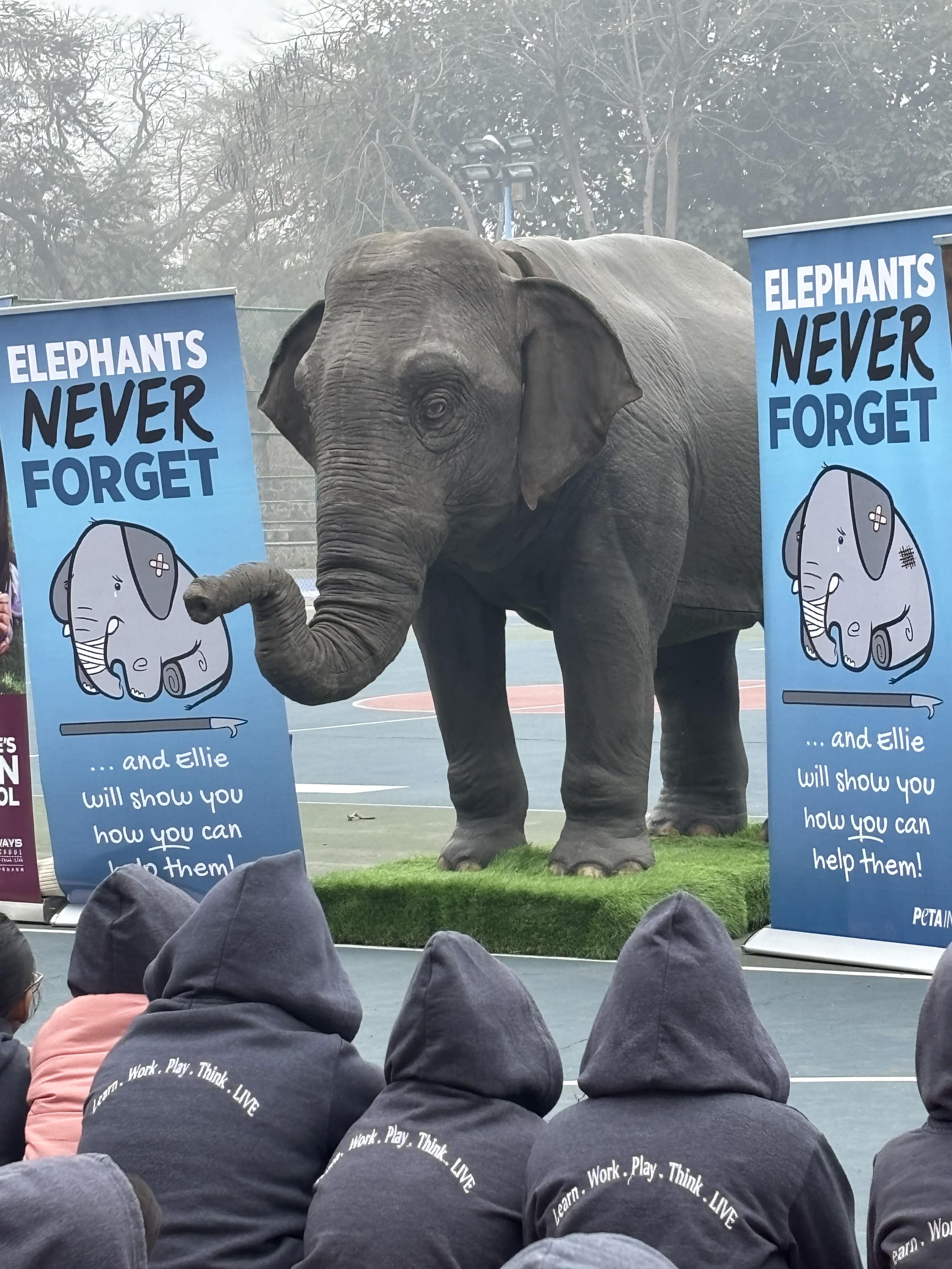 Pathways news