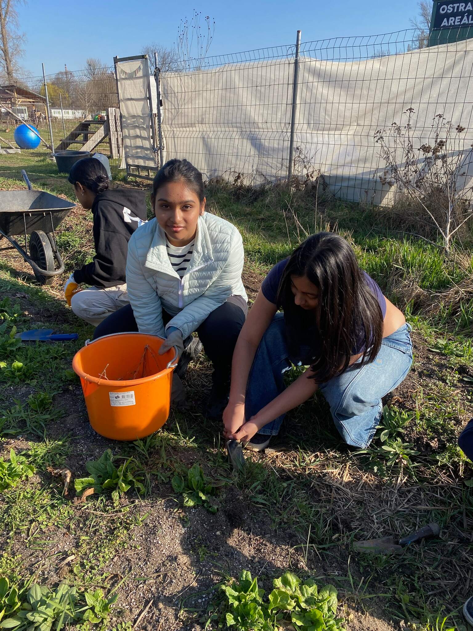 Pathways news