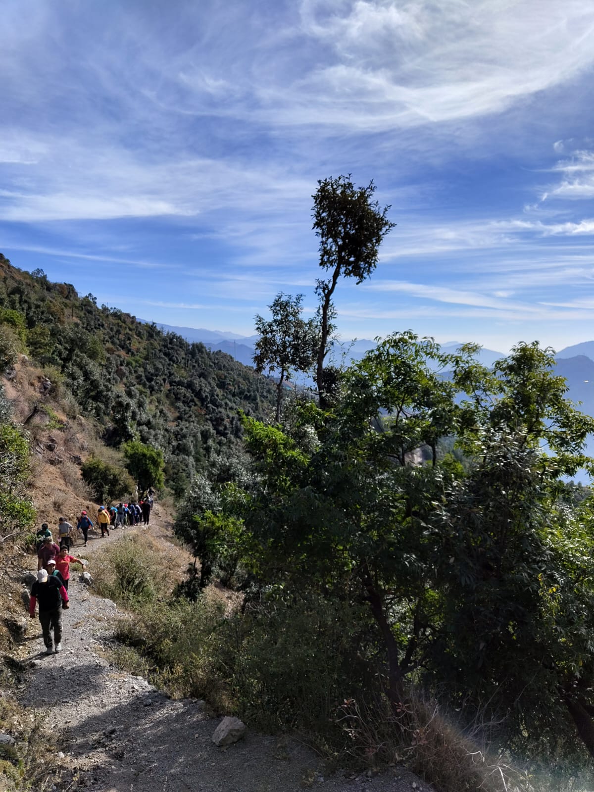 Pathways news