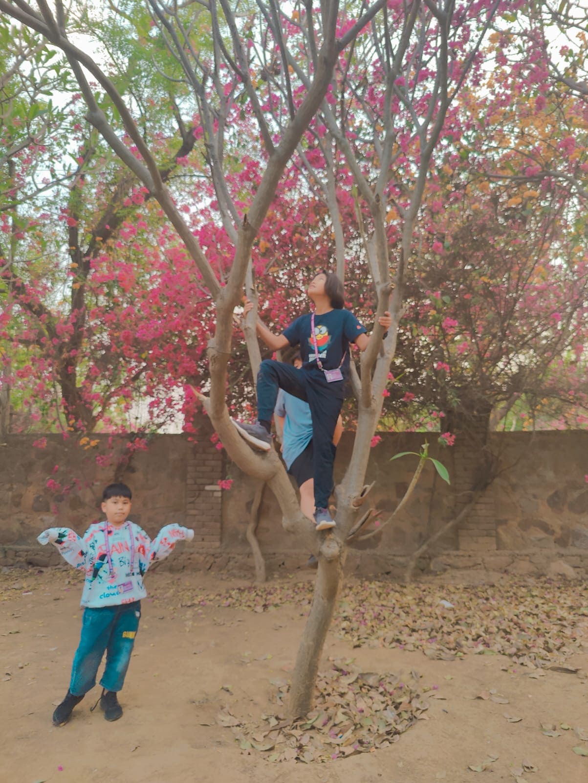 Day 3 @ Thailand Summer Camp