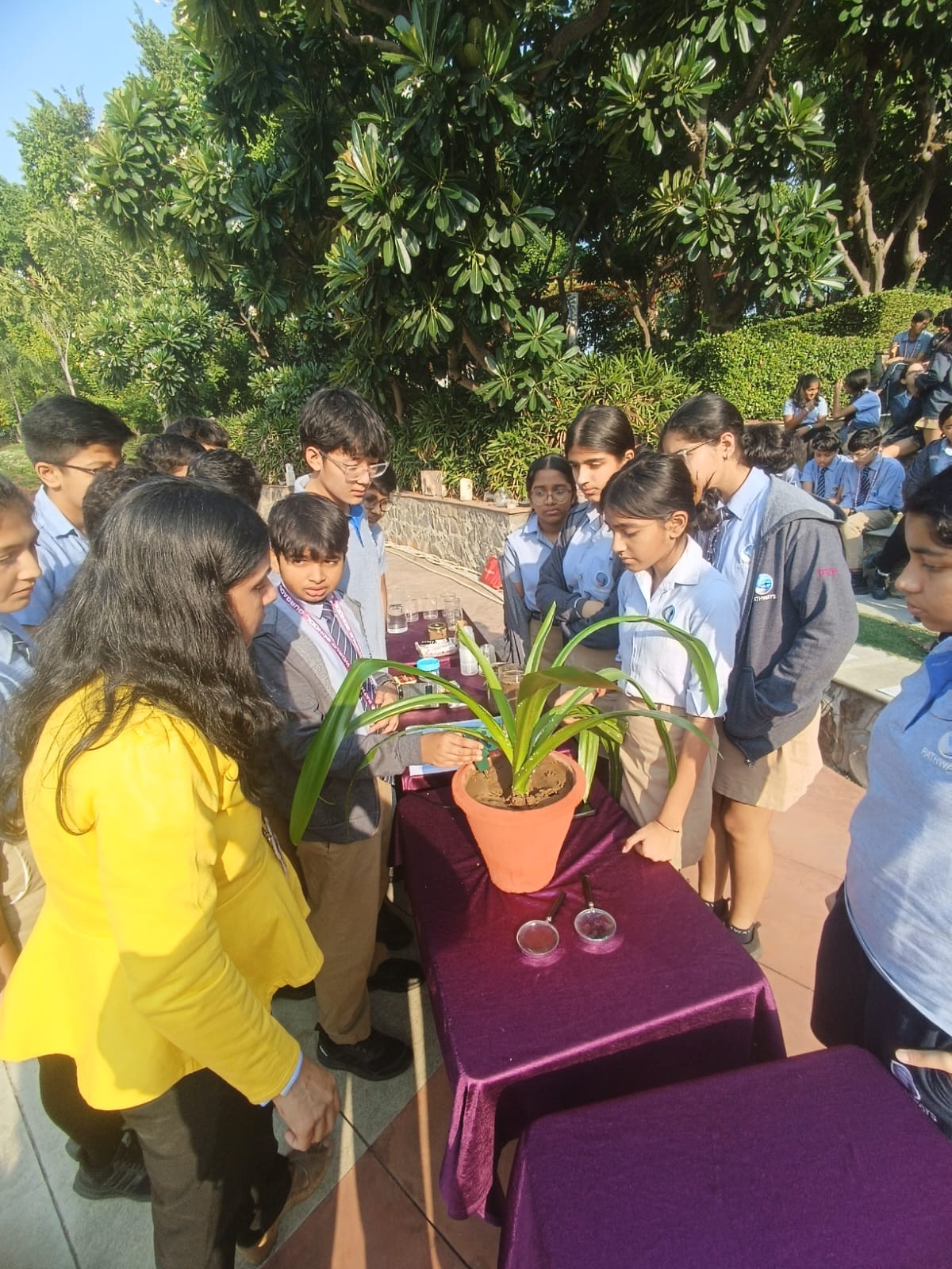 Pathways news