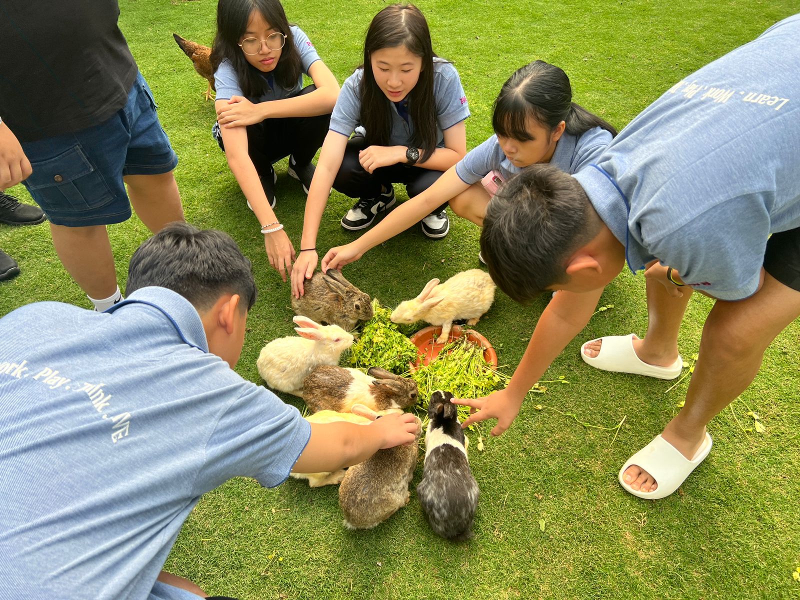 Day 4 @ Thailand Summer Camp