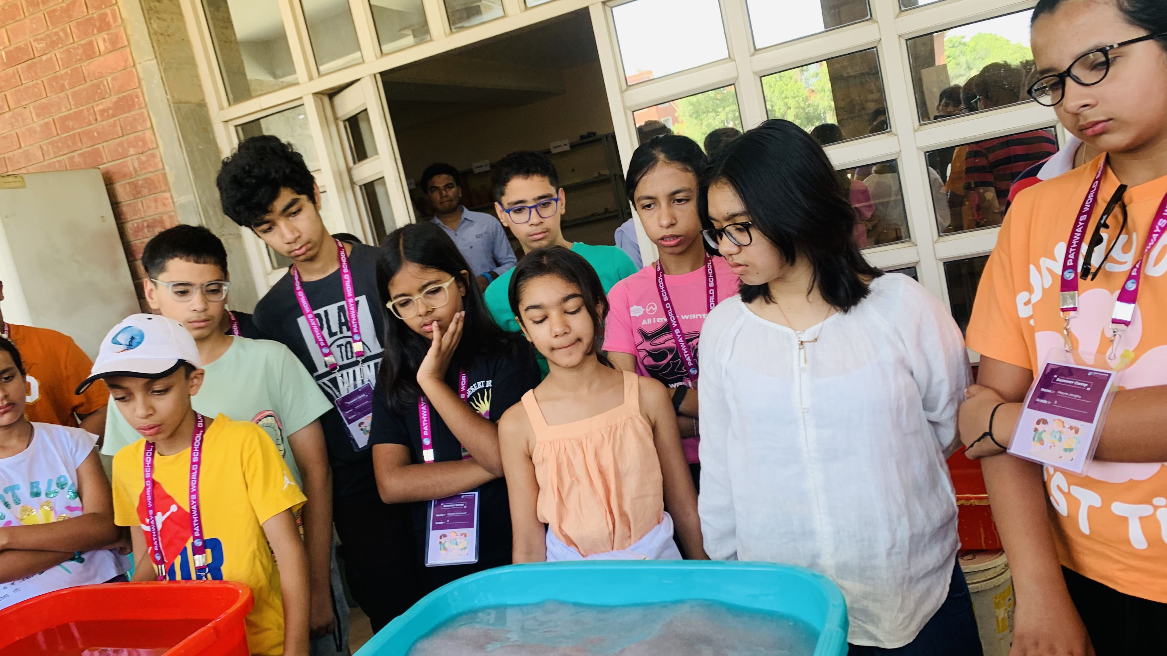 Pathways news
