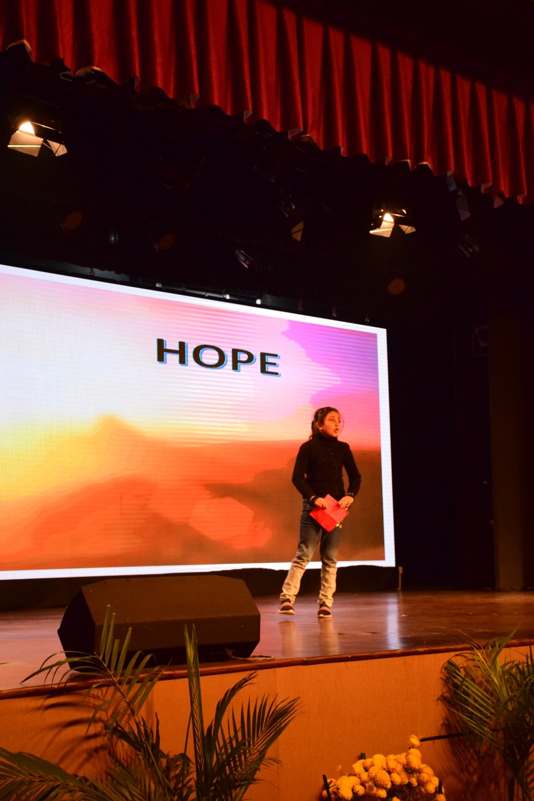 Inspireability Junior