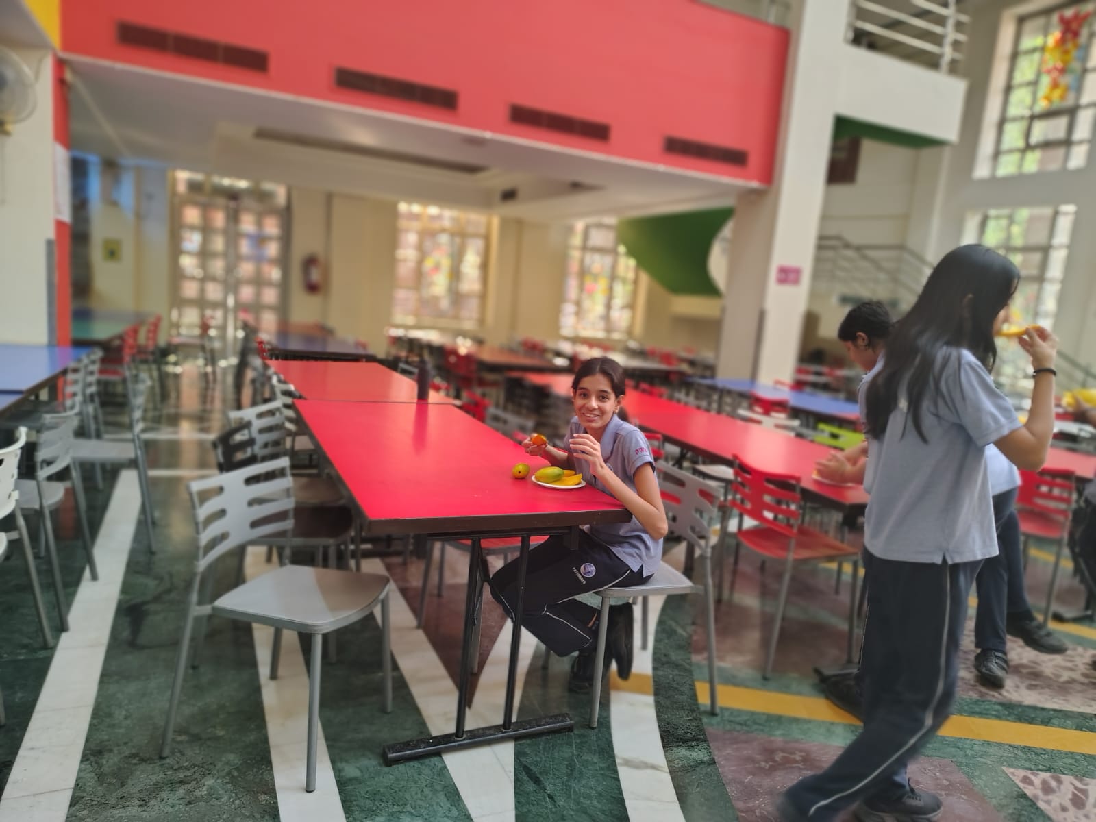 Mango Magic: A Summer Celebration in Boarding