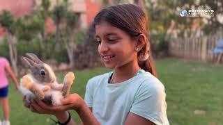 Why Families Love Pathways Summer Camp | Pathways World School
